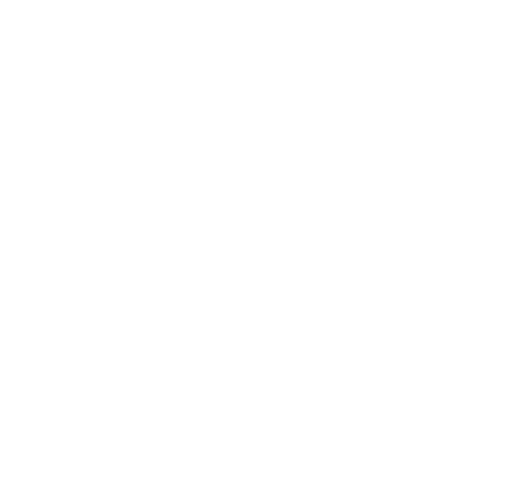 Avalanche Coaching Logo